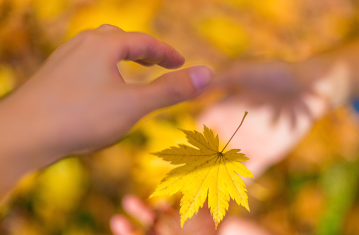 新型服裝鞋材貼合粘合劑論文